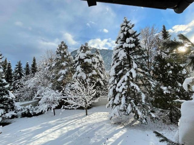Ferienhaus Plattner Lejlighed Lienz Eksteriør billede